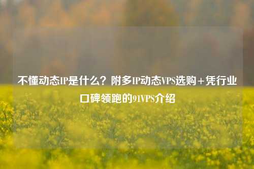不懂动态IP是什么?附多IP动态VPS选购+凭行业口碑领跑的91VPS介绍