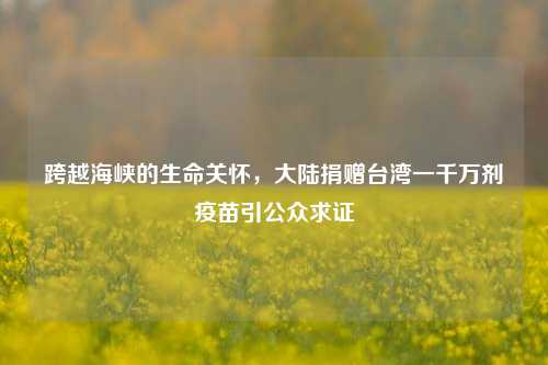 跨越海峡的生命关怀,大陆捐赠台湾一千万剂疫苗引公众求证