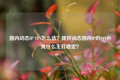 国内动态IP VPS怎么选？提供动态国内IP的91VPS凭什么主打稳定？