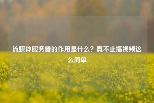 流媒体服务器的作用是什么?真不止播视频这么简单