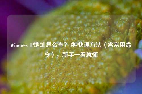 Windows IP地址怎么查?3种快速方法(含常用命令),新手一看就懂