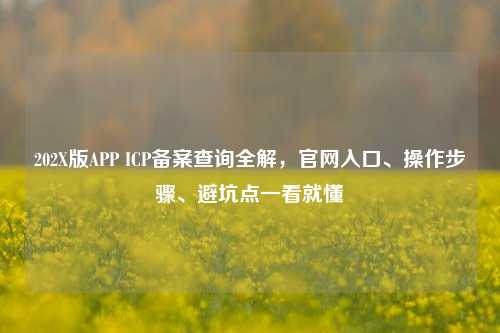 202X版APP ICP备案查询全解,官网入口、操作步骤、避坑点一看就懂