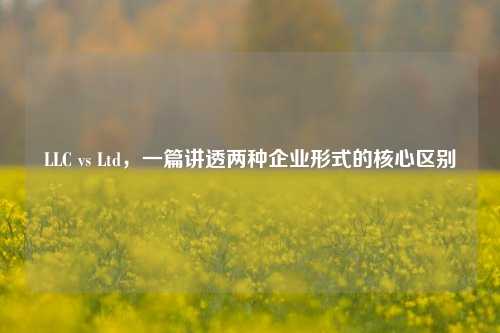 LLC vs Ltd,一篇讲透两种企业形式的核心区别