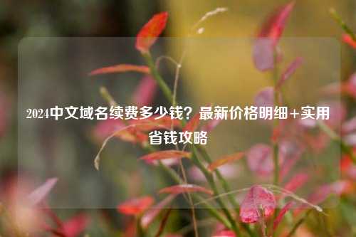 2024中文域名续费多少钱?最新价格明细+实用省钱攻略