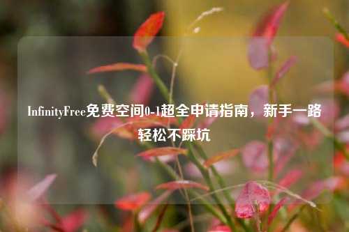 InfinityFree免费空间0-1超全申请指南,新手一路轻松不踩坑