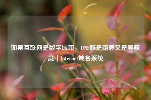 如果互联网是数字城市，DNS既是路牌又是导航员｜Internet域名系统