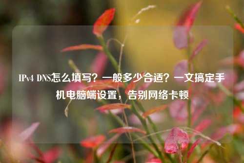 IPv4 DNS怎么填写？一般多少合适？一文搞定手机电脑端设置，告别网络卡顿