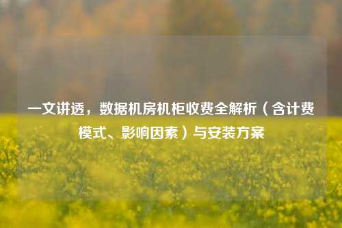 一文讲透,数据机房机柜收费全解析(含计费模式、影响因素)与安装方案