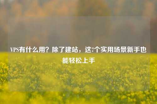 VPS有什么用？除了建站，这7个实用场景新手也能轻松上手