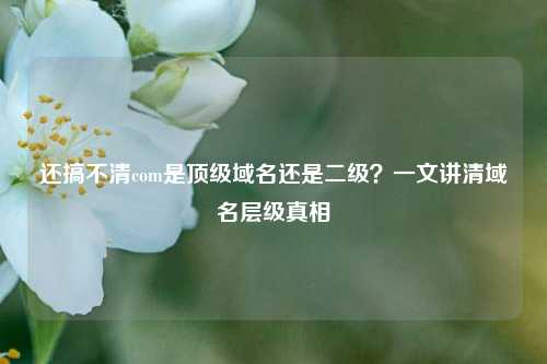 还搞不清com是顶级域名还是二级？一文讲清域名层级真相