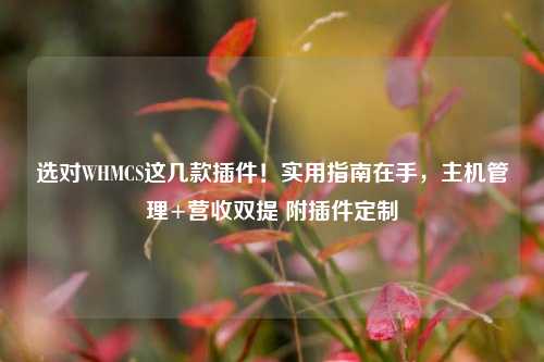 选对WHMCS这几款插件！实用指南在手，主机管理+营收双提 附插件定制