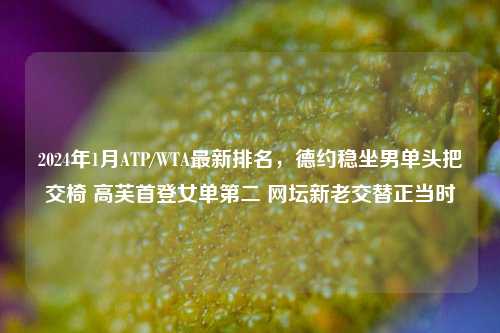2024年1月ATP/WTA最新排名,德约稳坐男单头把交椅 高芙首登女单第二 网坛新老交替正当时