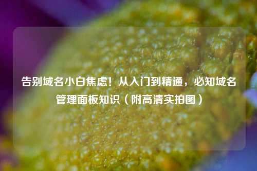 告别域名小白焦虑!从入门到精通,必知域名管理面板知识(附高清实拍图)