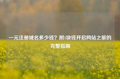 一元注册域名多少钱？附1块钱开启网站之旅的完整指南