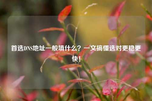 首选DNS地址一般填什么？一文搞懂选对更稳更快！