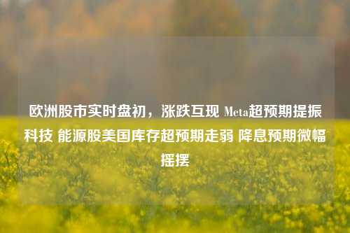 欧洲股市实时盘初,涨跌互现 Meta超预期提振科技 能源股美国库存超预期走弱 降息预期微幅摇摆