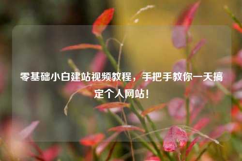 零基础小白建站视频教程，手把手教你一天搞定个人网站！