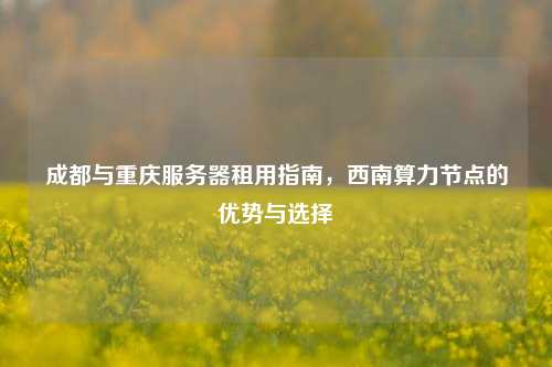 成都与重庆服务器租用指南,西南算力节点的优势与选择