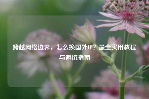 跨越网络边界，怎么换国外IP？最全实用教程与避坑指南