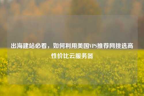 出海建站必看，如何利用美国VPS推荐网挑选高性价比云服务器