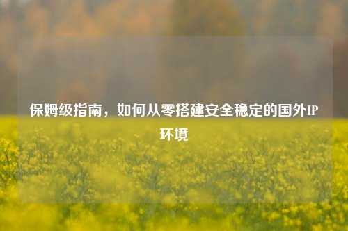 保姆级指南，如何从零搭建安全稳定的国外IP环境