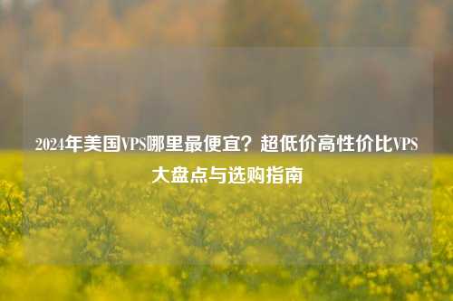 2024年美国VPS哪里最便宜?超低价高性价比VPS大盘点与选购指南