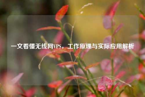一文看懂无线网VPS,工作原理与实际应用解析