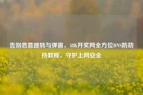 告别恶意跳转与弹窗,48K开奖网全方位DNS防劫持教程,守护上网安全
