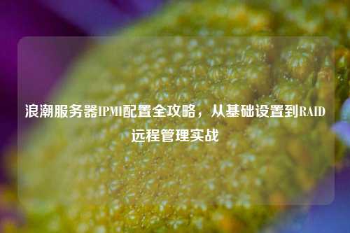 浪潮服务器IPMI配置全攻略,从基础设置到RAID远程管理实战