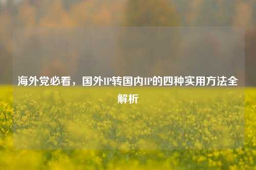 海外党必看，国外IP转国内IP的四种实用方法全解析