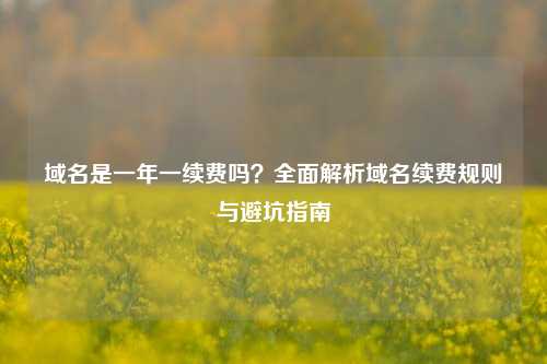 域名是一年一续费吗?全面解析域名续费规则与避坑指南