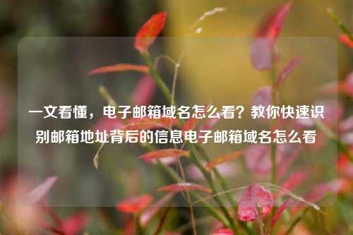 一文看懂,电子邮箱域名怎么看?教你快速识别邮箱地址背后的信息电子邮箱域名怎么看
