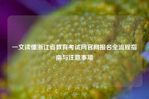 一文读懂浙江省教育考试网官网报名全流程指南与注意事项