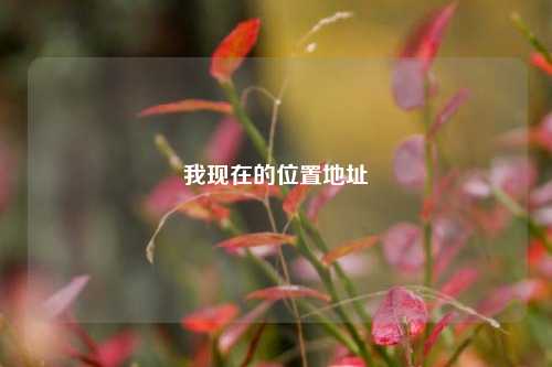我现在的位置地址