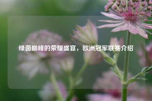 绿茵巅峰的荣耀盛宴，欧洲冠军联赛介绍