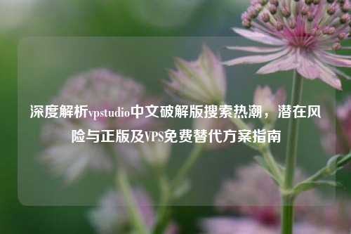 深度解析vpstudio中文破解版搜索热潮,潜在风险与正版及VPS免费替代方案指南