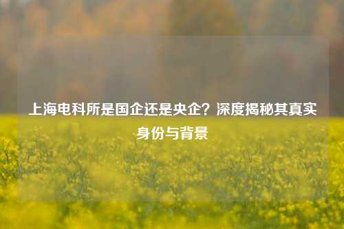 上海电科所是国企还是央企?深度揭秘其真实身份与背景
