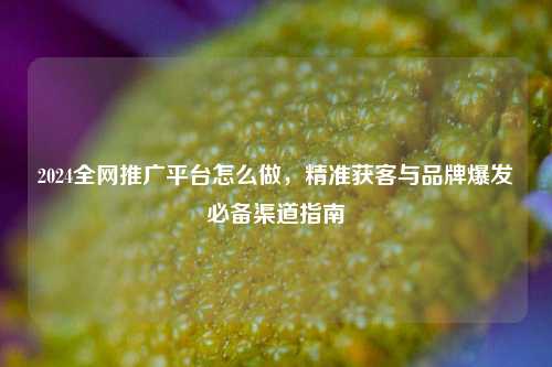 2024全网推广平台怎么做,精准获客与品牌爆发必备渠道指南
