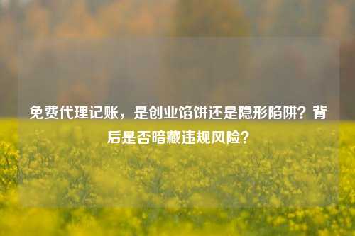 免费代理记账,是创业馅饼还是隐形陷阱?背后是否暗藏违规风险?