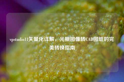 vpstudio11矢量化详解,光栅图像转CAD图纸的完美转换指南