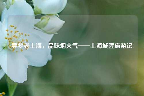 寻梦老上海，品味烟火气——上海城隍庙游记