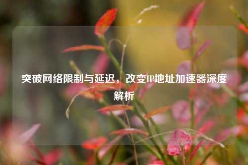 突破网络限制与延迟,改变IP地址加速器深度解析
