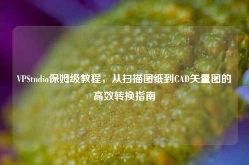 VPStudio保姆级教程，从扫描图纸到CAD矢量图的高效转换指南