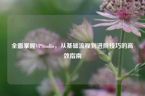 全面掌握VPStudio,从基础流程到进阶技巧的高效指南
