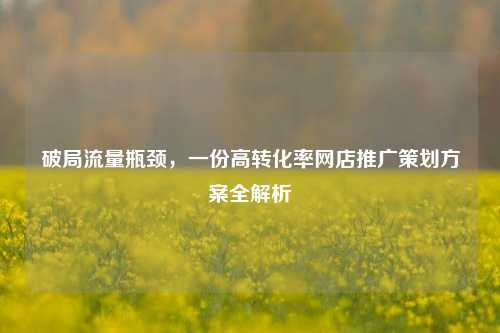 破局流量瓶颈,一份高转化率网店推广策划方案全解析