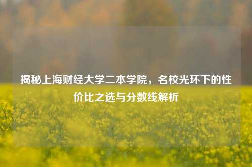 揭秘上海财经大学二本学院，名校光环下的性价比之选与分数线解析