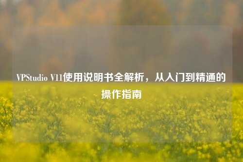 VPStudio V11使用说明书全解析,从入门到精通的操作指南