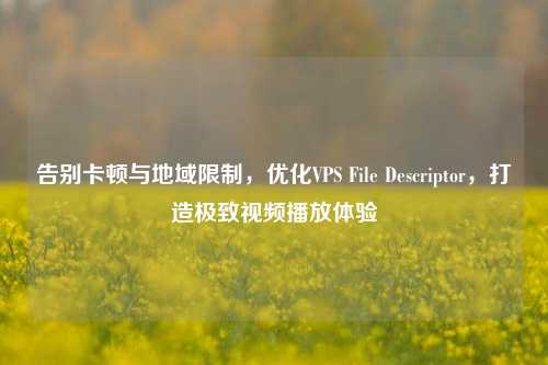 告别卡顿与地域限制,优化VPS File Descriptor,打造极致视频播放体验
