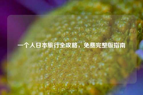 一个人日本旅行全攻略,免费完整版指南