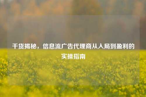 干货揭秘，信息流广告代理商从入局到盈利的实操指南